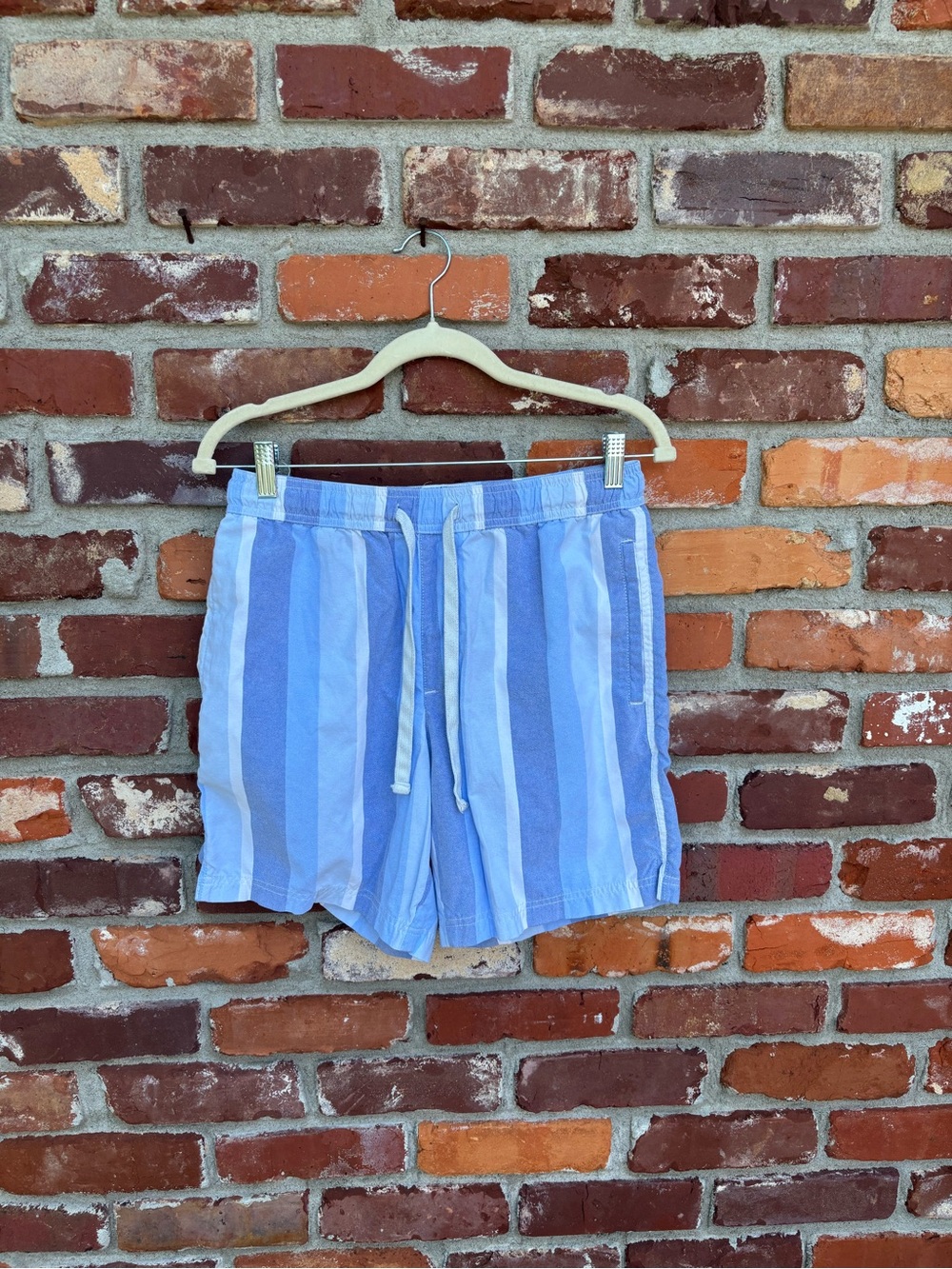 EUC Free Planet Shorts